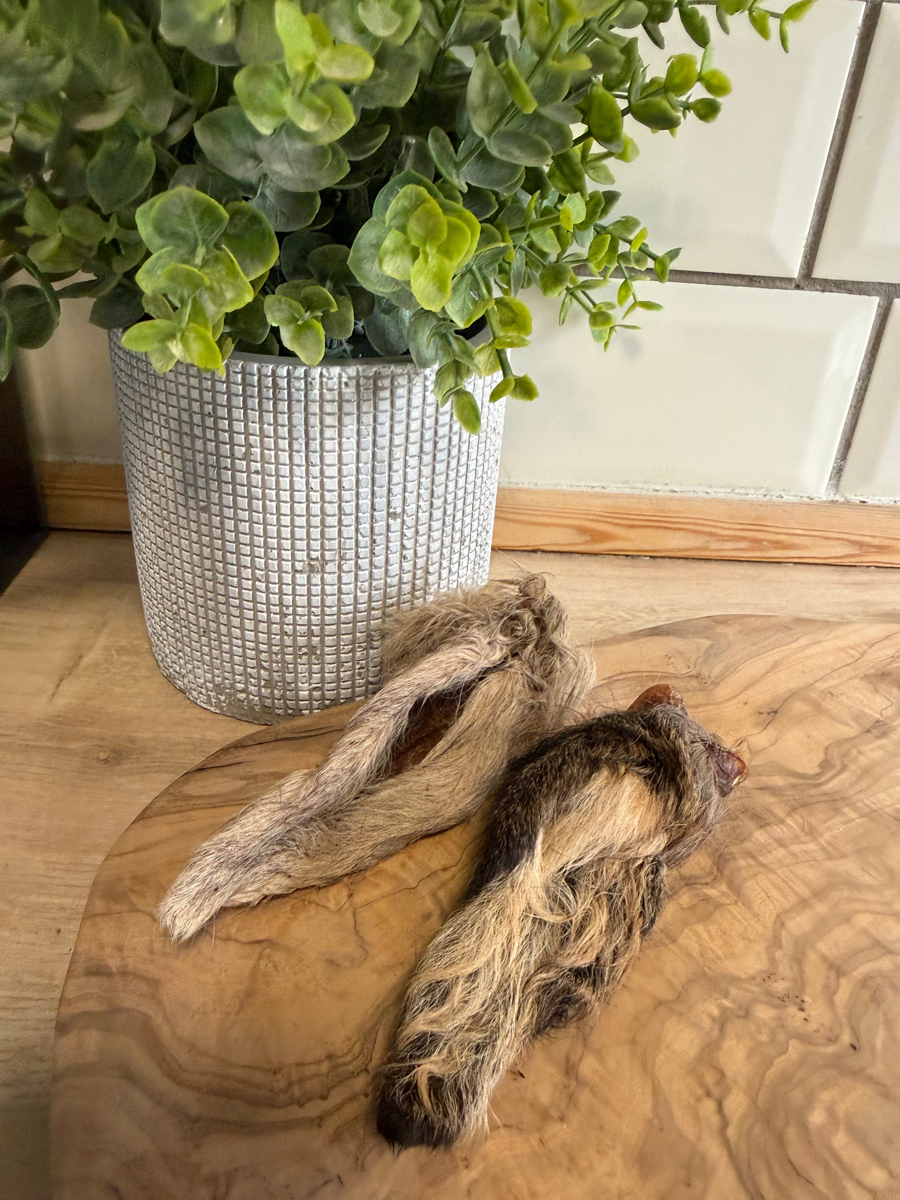 Venison ears