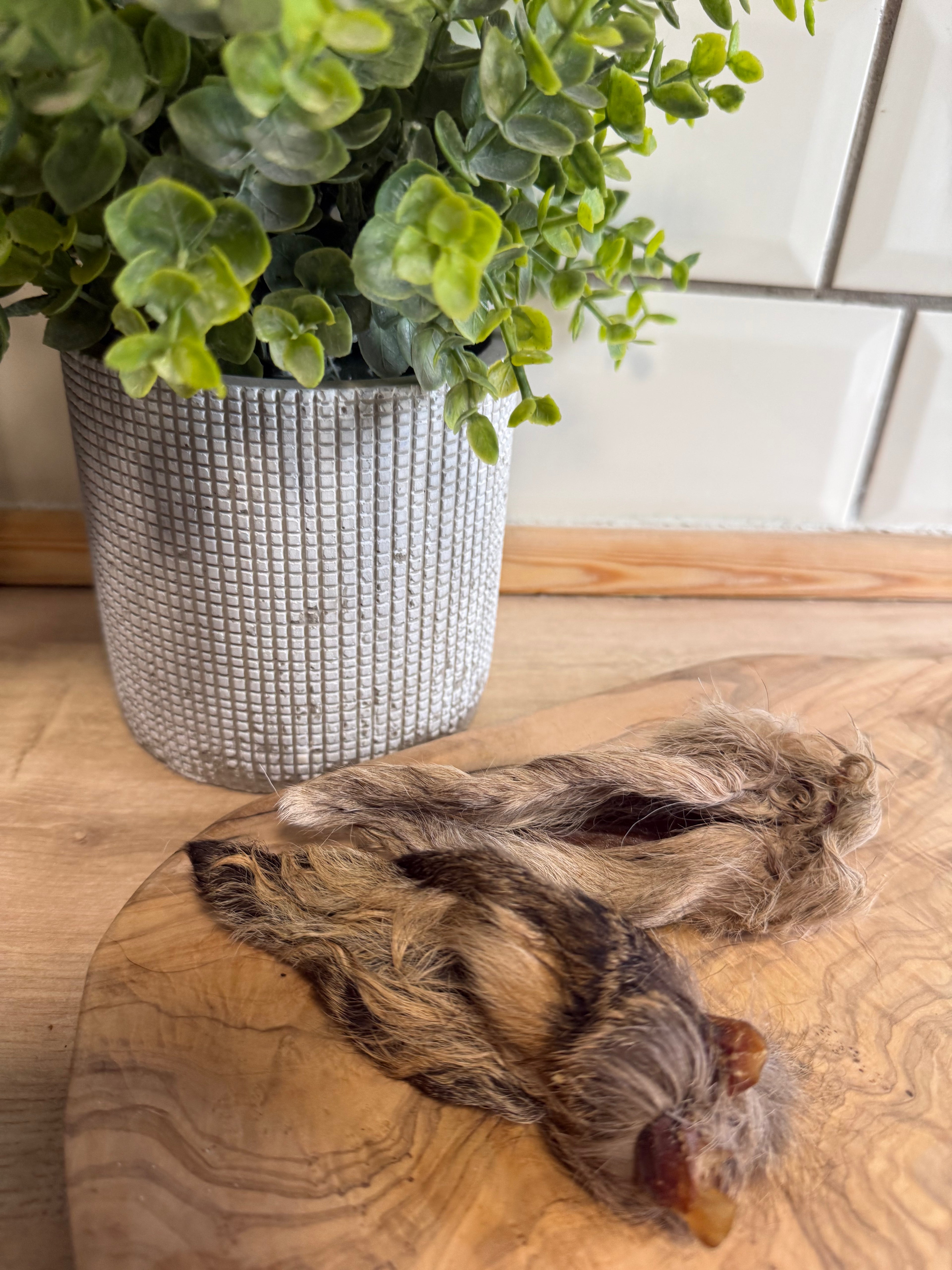 Venison ears