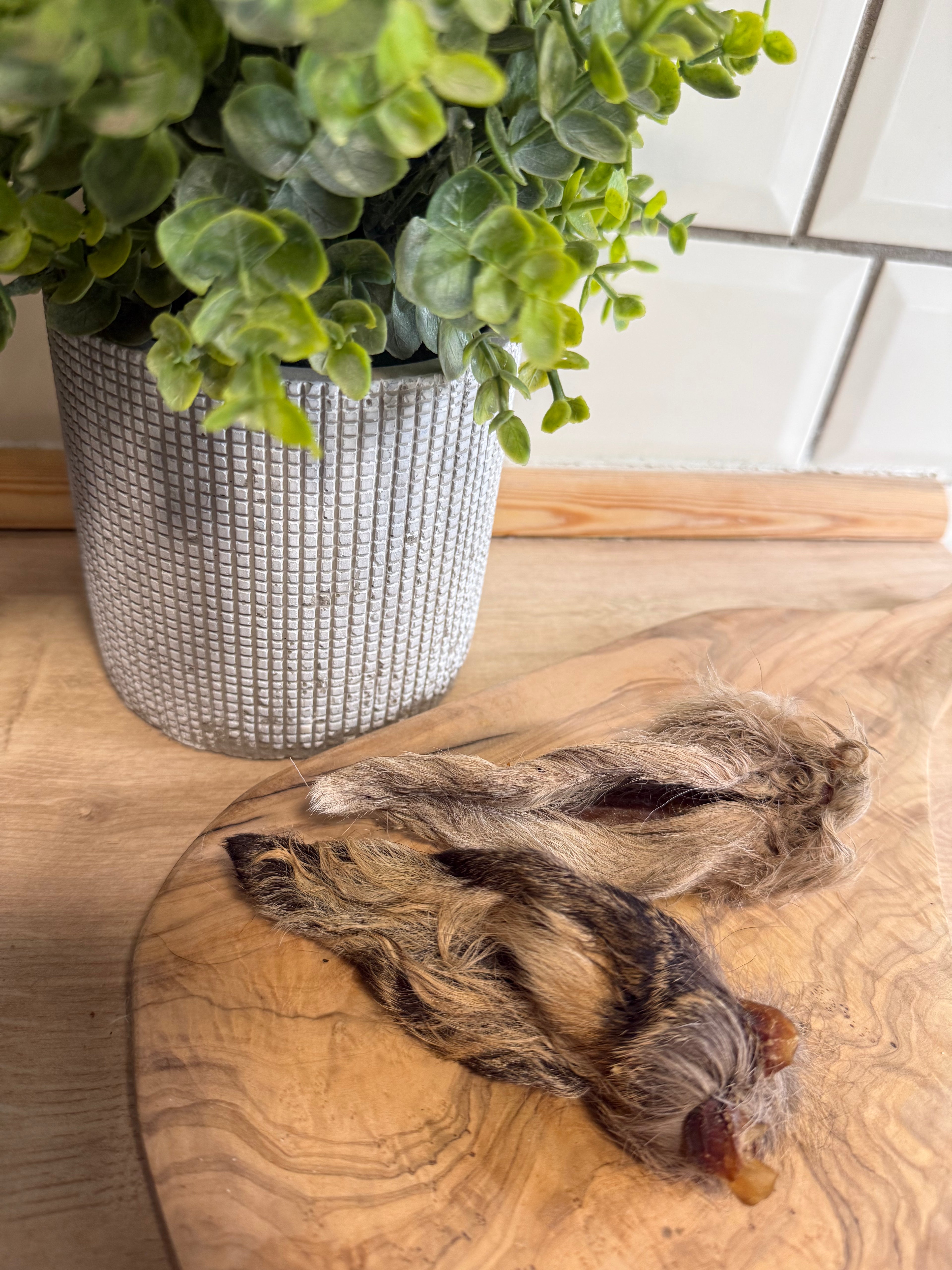 Venison ears