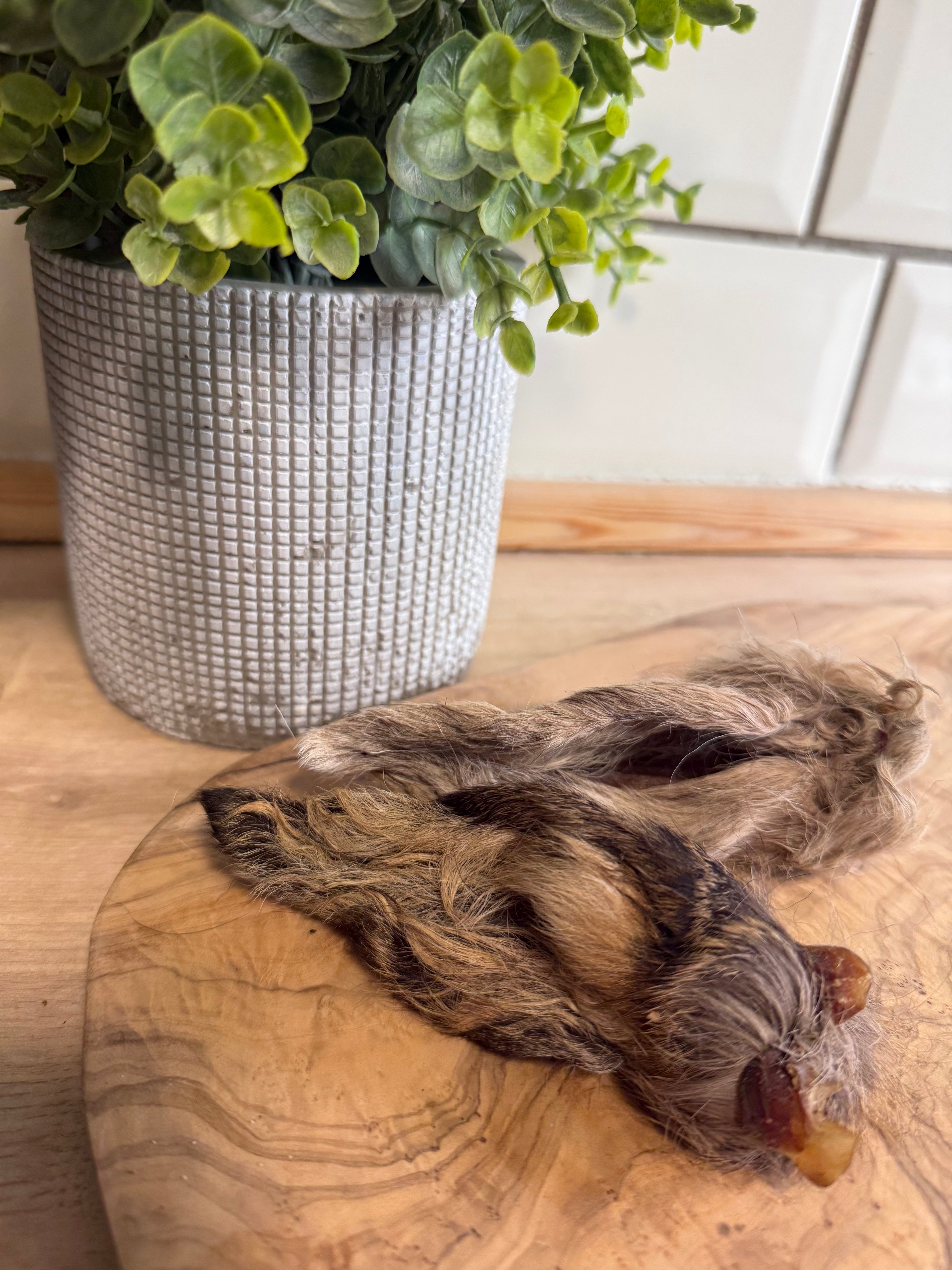 Venison ears