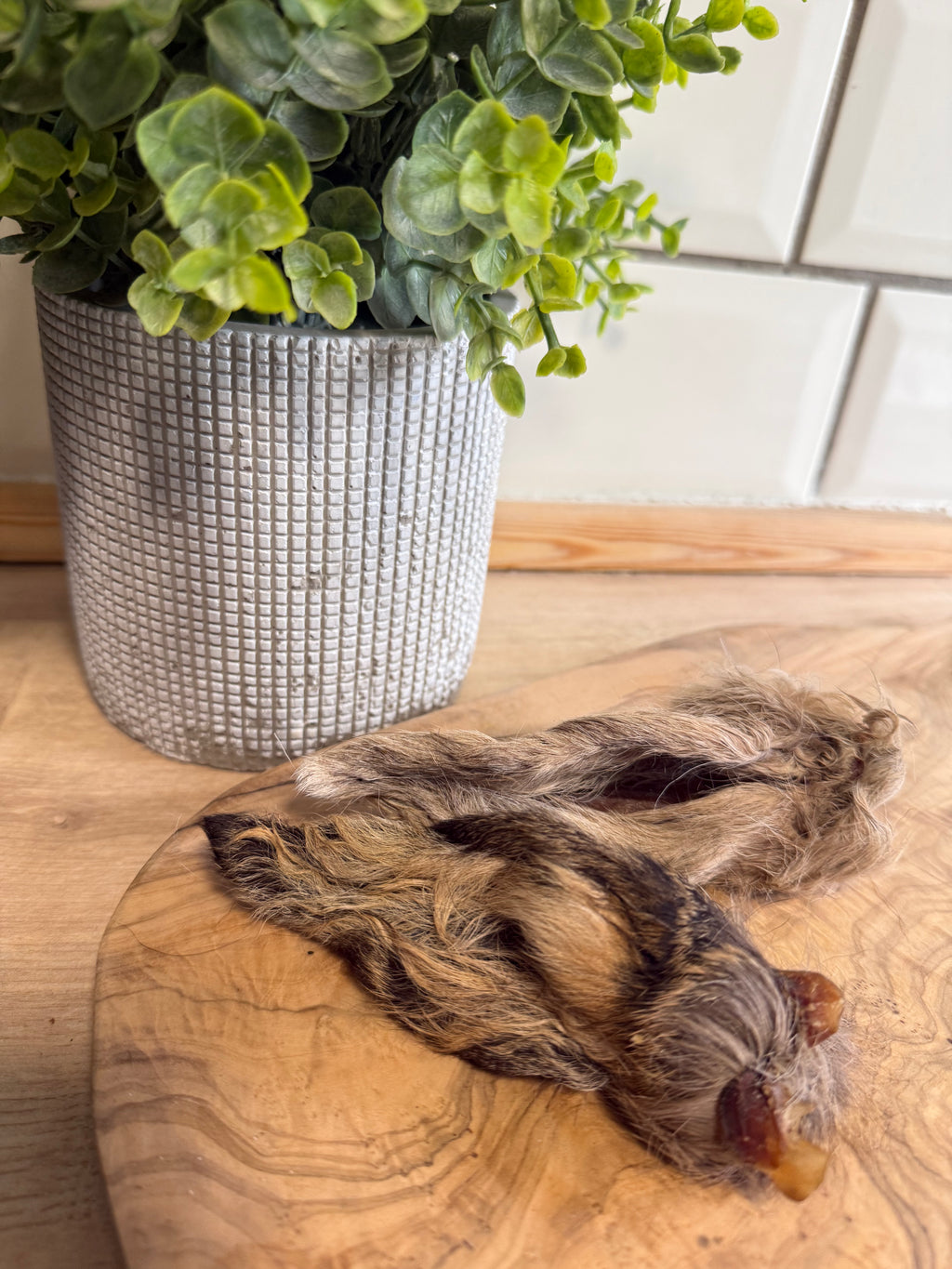 Venison ears