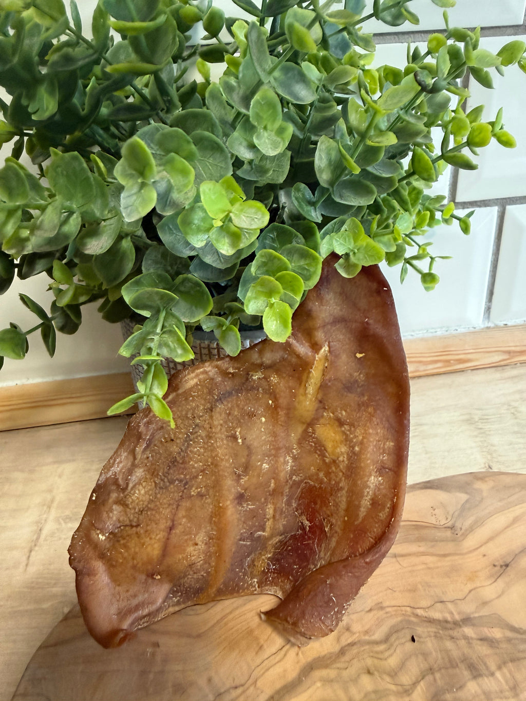 Pigs ears