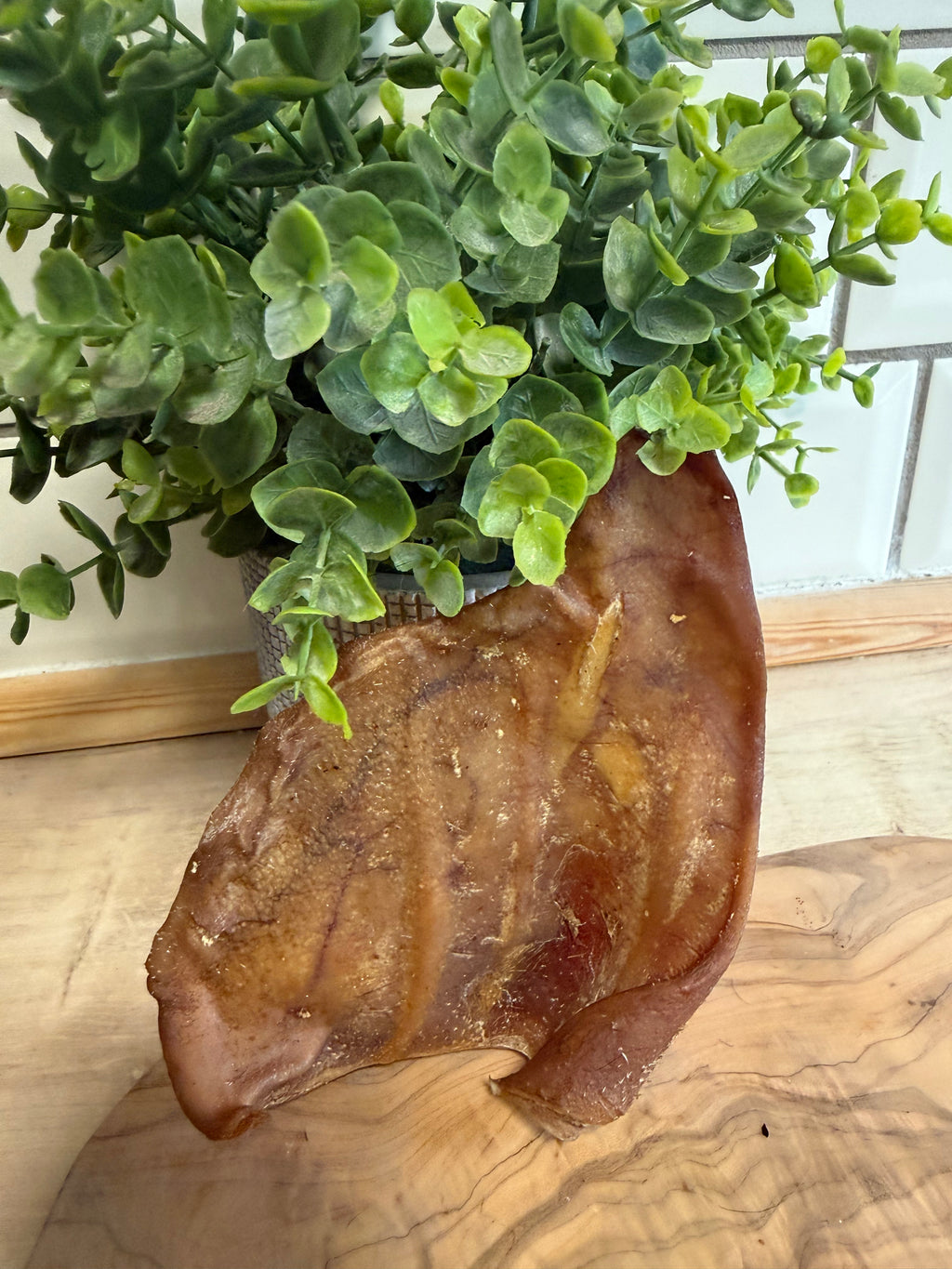 Pigs ears