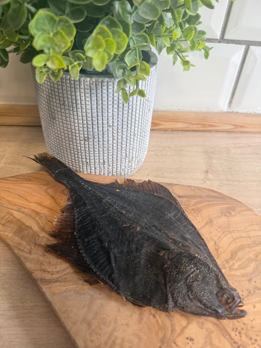 Flounder fish