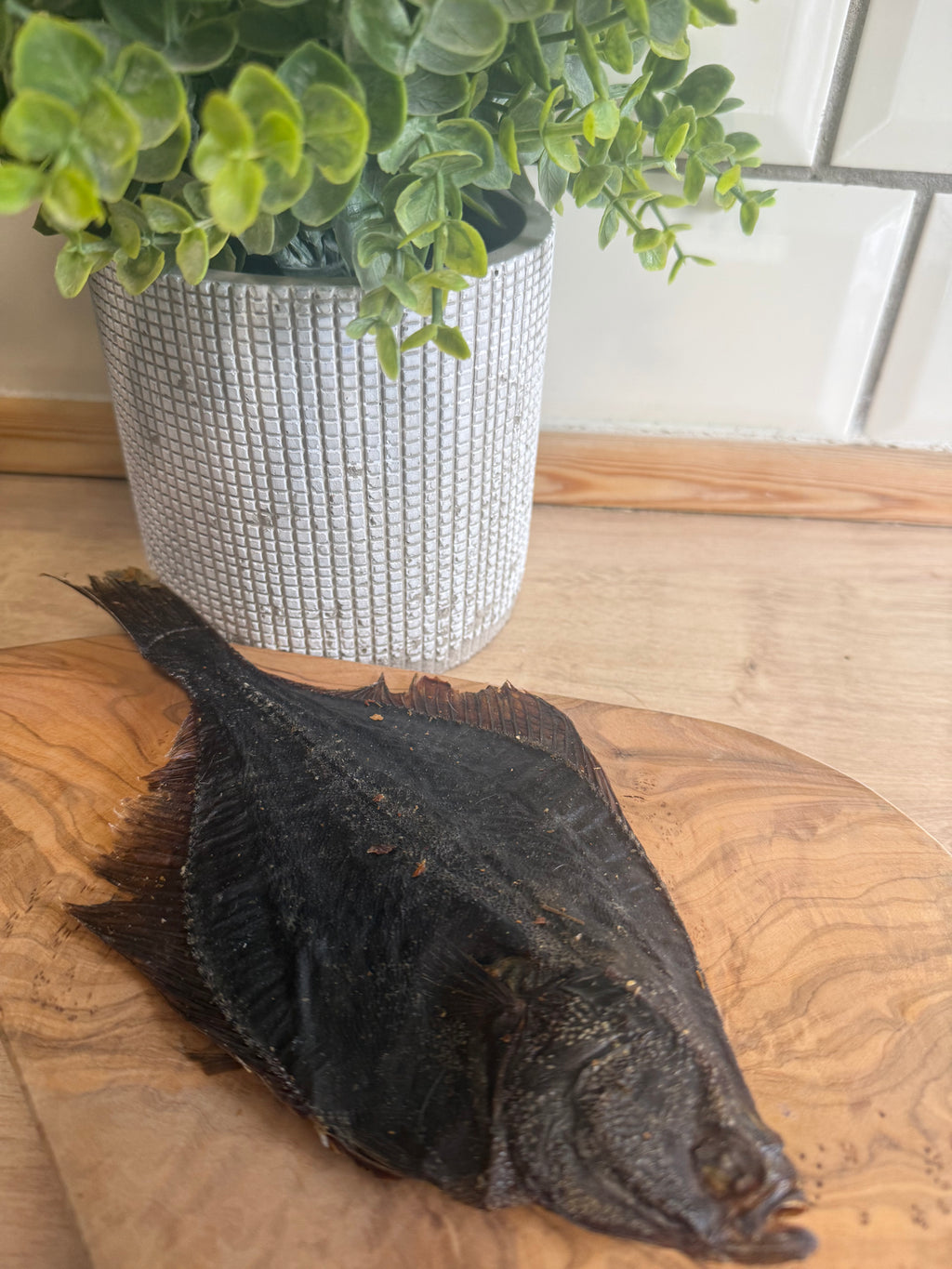 Flounder fish
