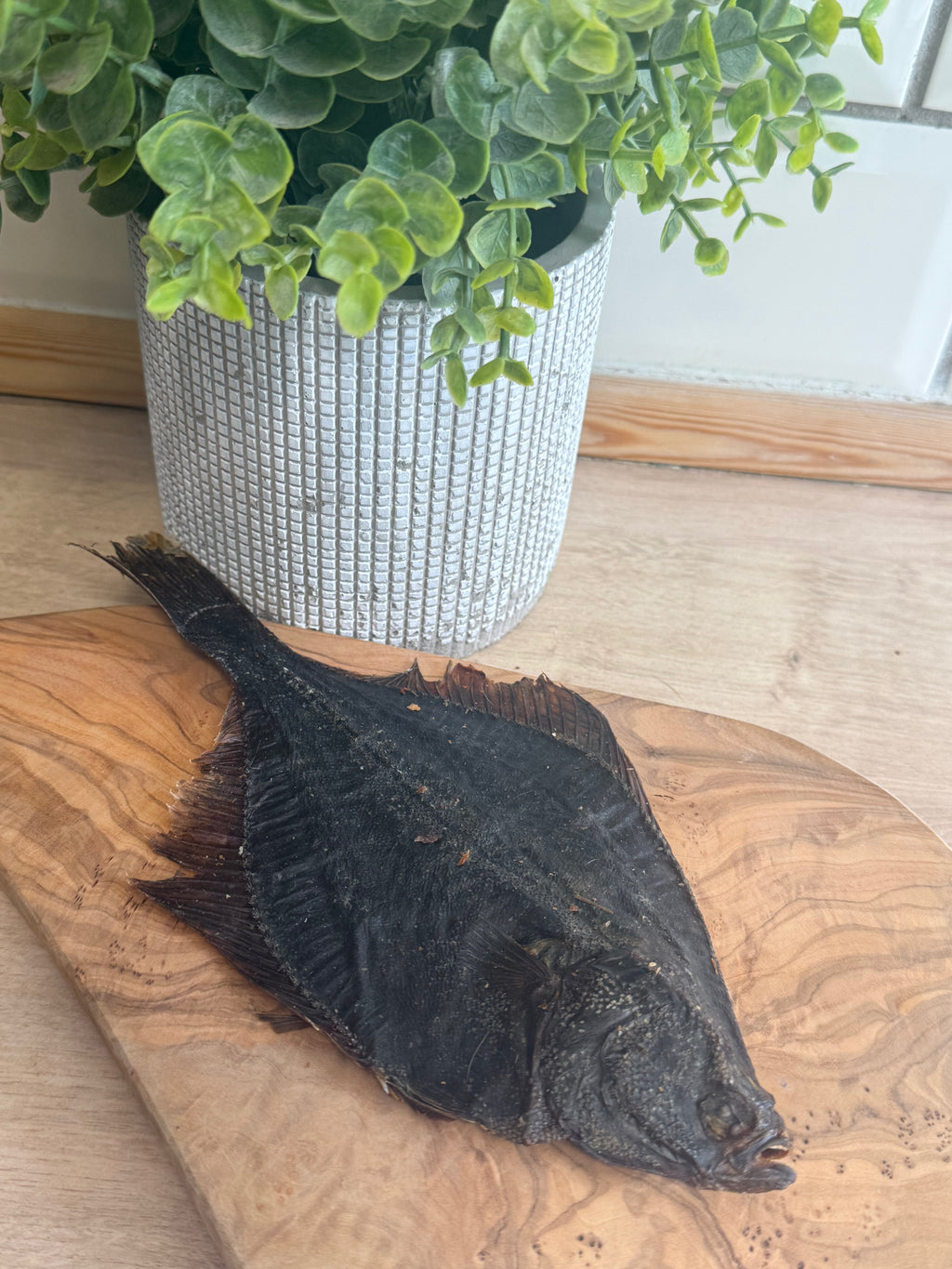 Flounder fish