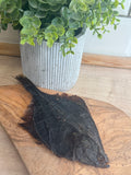 Flounder fish
